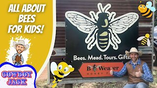 All About Bees for Kids!