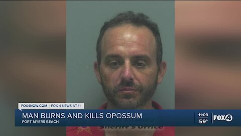 Man burns and kills opossum
