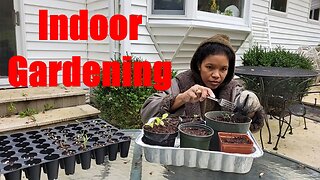Indoor Fall Gardening