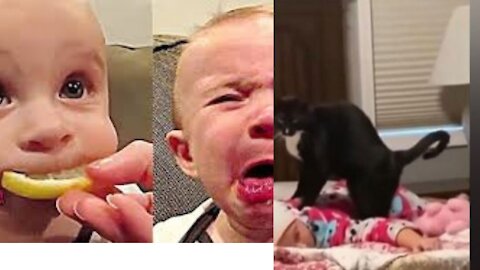 Try not to laugh FUNNY BABIES AND PETS VIDEOS COMPILATION 2021