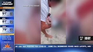 Shark bites swimmer off South Beach