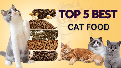 Best top 5 Cat Food on Amazon I Cat Food I Best cat food I #catfood #bestcatfood #catproducts