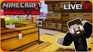 Building our Storage System and Organizing in Minecraft Hardcore Survival / Live Stream [S5 | EP25]