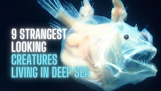 9 Strangest Looking Creatures Living in Deep Sea