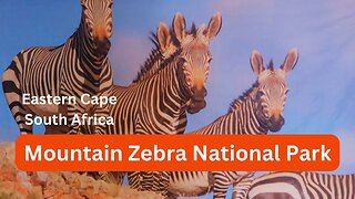 Our visit to Mountain Zebra National Park | South Africa.