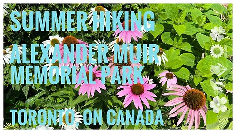 Summer Garden Walk| Flowers, Plants & More| Alexander Muir Memorial Garden |Toronto, ON 🇨🇦|Hiking