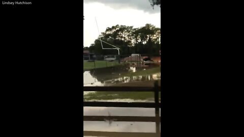 Severe weather batters Venice park