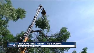 Local businesses work to cleanup storm destruction