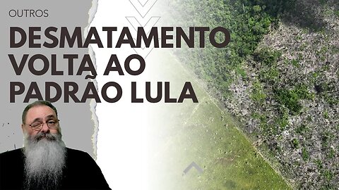 DESMATAMENTO TRIPLICA no PRIMEIRO TRIMESTRE de LULA, VOLTANDO À MÉDIA do GOVERNO LULA ANTERIOR