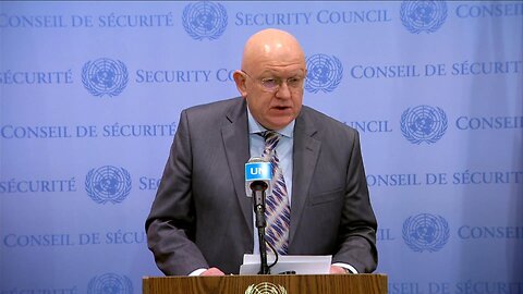 Russian Representative to UN Nebenzya mentioned Gonzalo Lira at the Press conference