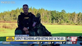 Pasco County deputy recovers after being shot during barricade situation