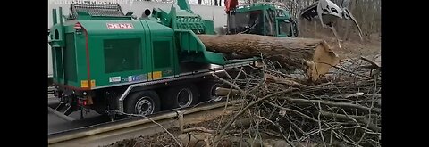 Extreme Dangerous Wood Chipper Machines Technology, Fastest Tree Shredder Working and Woodworking