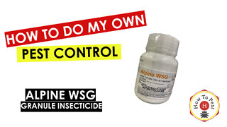 How To Do My Own Pest Control - ALPINE WSG