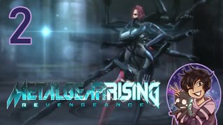 Now These are FIGHTS! - Metal Gear Rising Revengence Part 2