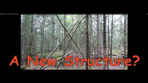 My Bigfoot Story Ep. 74 - I found a New Structure