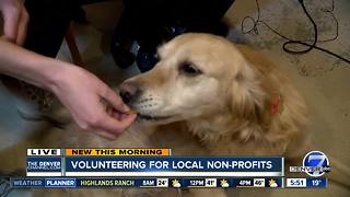 Colorado Gives Day: Volunteering for local non-profits