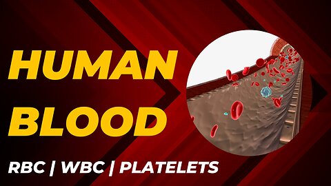 Human Blood | RBC | WBC | Platelets | Plasma | AKScienceWorld