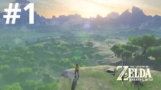 The beginning| The Legend of Zelda Breath of the Wild #1