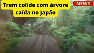 Trem colide com árvore caída no Japão { VÍDEO }