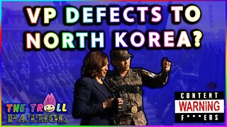 VP Kamala Harris Accidentally Touts Alliance With North Korea During Trip To The DMZ