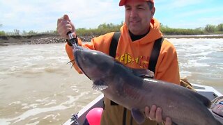 MidWest Outdoors TV Show #1633 - Red River Catfish with the Rippin Lips Crew