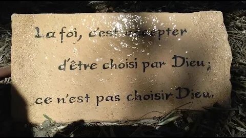 🙏Ce Bas Monde n'est qu'épreuves👈 Un Paradis Otage des Serviteurs du Mal👀Un Filtre Pour La VRAIE VIE🤲