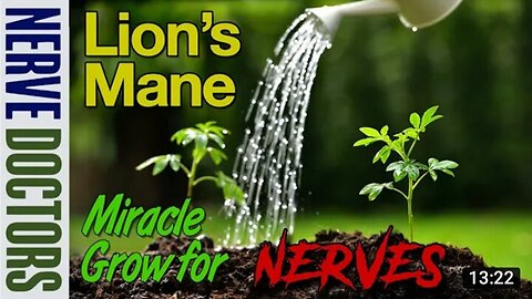 Lions Mane: Miracle Grow for Your Nerves - The Nerve Doctors