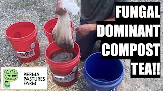 How To Make Fungal Dominant Compost Tea