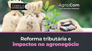 Reforma tributária e impactos no agronegócio com Fernanda Bueno Cont. Tributarista do Agronegócio