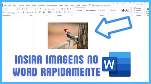 COMO INSERIR IMAGENS EM DOCUMENTOS DO WORD