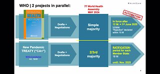 Dr John Campbell Interviews Philip Kruse: WHO PANDEMIC TREATY: warning a possible dystopian future