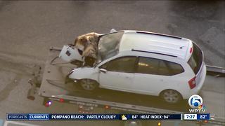 Vehicle crashes at entrance to suburban Lake Worth Walmart