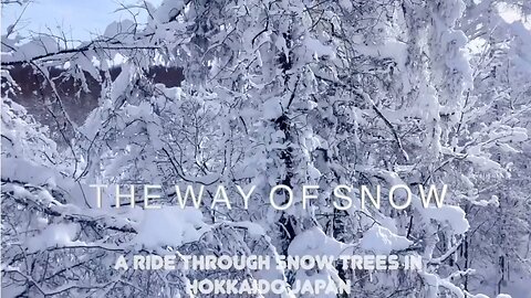 The Way Of Snow - Feat: The music of David SweetLow