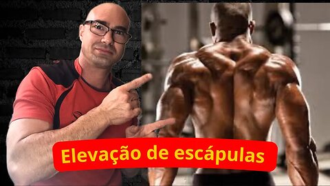 Como fazer a elevação de escápulas para aumentar seu trapézio