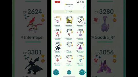 Pokémon GO TWELVE Best Buddies