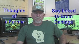 Thoughts of a Farmer Soy linked to Brain Damage