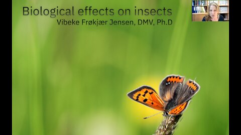 Wireless radiation biological effects on insects. Vibeke Frøkjær Jensen, DMV, Ph.D