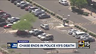Phoenix police K-9 killed, suspect taken into custody following pursuit