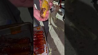 Smoking Ribs Pt 12