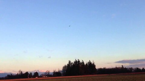 Parkzone F4F Wildcat WWII Warbird Sunset Flight Dive Bombs