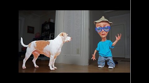 Dog vs Alien in Disguise Prank Funny Dogs Maymo, Penny & Potpie