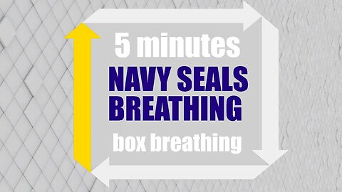 5 minutes Navy Seals Breathing Guided ❯ Box Breathing Technique ❯ Four-Square Breathing ❯ 4 4 4 4