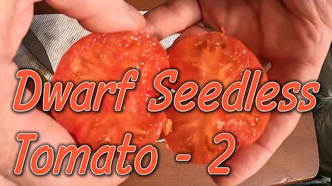 Tomato Review: Dwarf Parthenocarpy Proven - Part 2