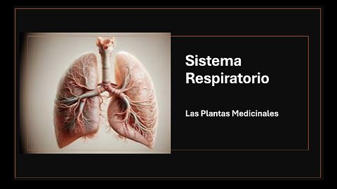 Conscientemente - Sistema Respiratorio