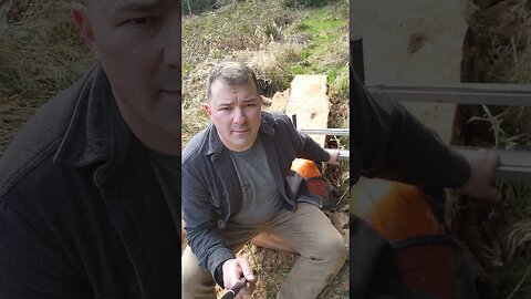 Chainsaw milling some maple slabs #homesteading #stihl #diy