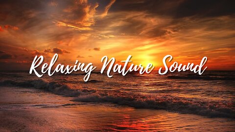 Relaxing Nature Music | Sleep Music, Water Sounds, Relaxing Sounds, Meditation Music