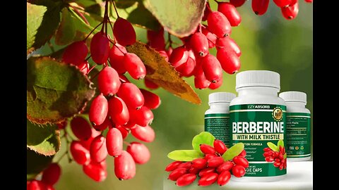 Health related information.diabetes and obesity bye-bye Diabetes Offer: Berberine Supplement