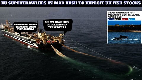 EU Super Trawlers Ravage The Uk Coastline As Brexit Approaches Wiping Out Dolphins As They Go