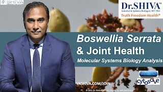 2 Ways How Boswellia Affects Joint Health