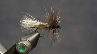 Stonefly Adult (Fling & Puterbaugh 12/30)